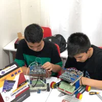 استخدام مربی الکترونیک