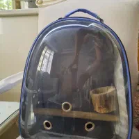 کیف حمل حیوانات