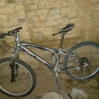 دوچرخه ۲۴ برنده دوچرخه فلش