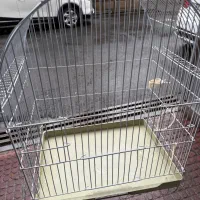 قفس کوچک پرنده