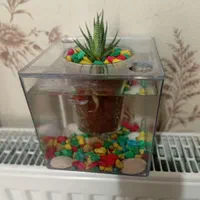 آکواریوم خانگی ( هدیه و کادو )|ماهی|رشت, کوی مهر|دیوار