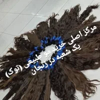 خریدار اصلی موی طبیعی سراسر ایران