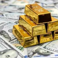 تریدر فارکس هستی