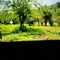 فومن حسین کوه 1300و 6500 متر مسکونی