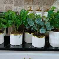 گل مصنوعی|گل مصنوعی|سرپل ذهاب, |دیوار