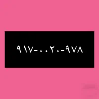۹۱۷-۰۰۲۰-۹۷۸