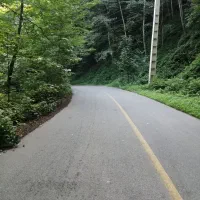 شراکت و سرمایه گذاری