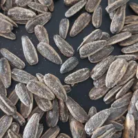 تخمه آفتابگردان طعم پنیری عمده S400|خوردنی و آشامیدنی|قم, مصلاء|دیوار