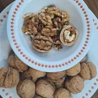 گردوی امسال