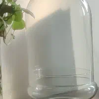 گلدان تراریوم و بنسای