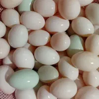 تخم اردک تازه تازه