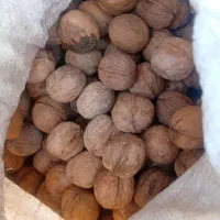 گردو  درجه یک ایرانی|خوردنی و آشامیدنی|میبد, |دیوار