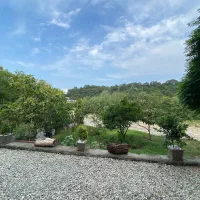 اجاره سوئیت ، دربست با ویو رودخانه و جنگل|اجارهٔ کوتاهمدت آپارتمان و سوئیت|چالوس, |دیوار