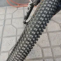 سالم|دوچرخه، اسکیت، اسکوتر|قرچک, مهدیه|دیوار