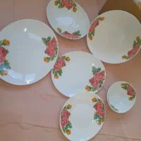 سرویس ارکوپال نو