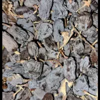 کشمش آفتابی بوانات