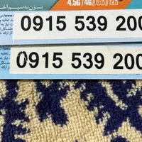 09155392007*008