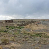 به یک چوپان با تجربه نیازمندیم