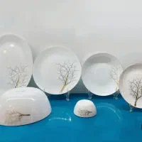 سرویس ارکوپال