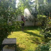 هرس کاری  سم پاشی بادستگاه بزرگ کوددهی شمشادزنی|خدمات باغبانی و درختکاری|کرج, کمال‌شهر|دیوار