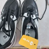 کفش و کتونی