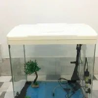 آکواریوم نو