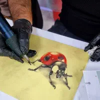 اجرا و آموزش تخصصی تتو بدن و آرایش دائم(آکادمی)|خدمات آرایشگری و زیبایی|اصفهان, پوریای ولی|دیوار