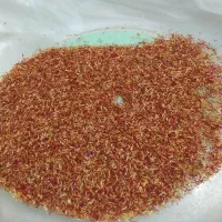 نرمه زعفران