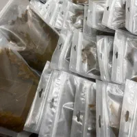 برگ مو کنسروی|خوردنی و آشامیدنی|اصفهان, جلفا|دیوار