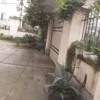 اجاره آپارتمان سالانه ماسال