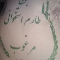 برنج طارم