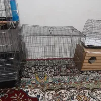 قفس بزرگ مرغ مینا همه باهم ۲ تومن