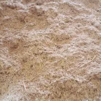 کاه دیم گندم