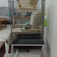 قفس پرنده