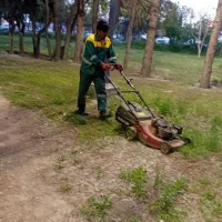 نیرو کارگر برای فضای سبز