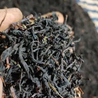 کارگاه چای سازی ایرانا|خوردنی و آشامیدنی|لاهیجان, آهندان|دیوار