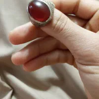 فروش شادکان اره