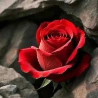 مشاوره ازدواج میخوام