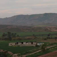 یک باب دامپروری صنعتی در قصرشیرین