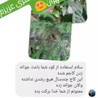 تنها قرص کود ارگانیک|گل و گیاه طبیعی|سبزوار, شهرک ابوذر|دیوار