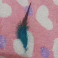 تعدادی پر زینتی|صنایع دستی و سایر لوازم تزئینی|قم, صفاشهر|دیوار