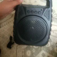 باند نونو با کارتن پول لازم