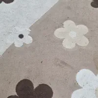 دوتا فرش زرنیم|فرش|تبریز, |دیوار