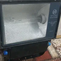 ‌ پلژوکترصحی وسالم موجوداست