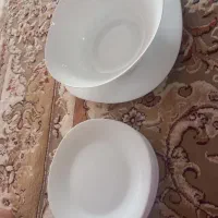 هندوانه خوری یا میوه خوری