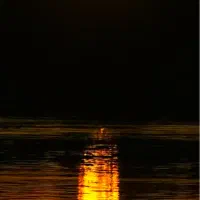 راهنمایی کنید