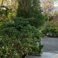 باغبان مسلط به باغداری نظافت باغ و نگهداری از سگ