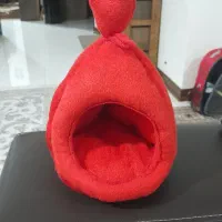 مخفیگاه پرنده