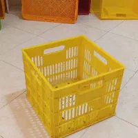 جعبه لبنیاتی پری پک مربع و مستطیل|ظروف نگهدارنده، پلاستیکی، یکبارمصرف|پاکدشت, پاکدشت (مامازند)|دیوار