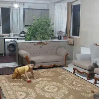 فروش آپارتمان املاک باوفا